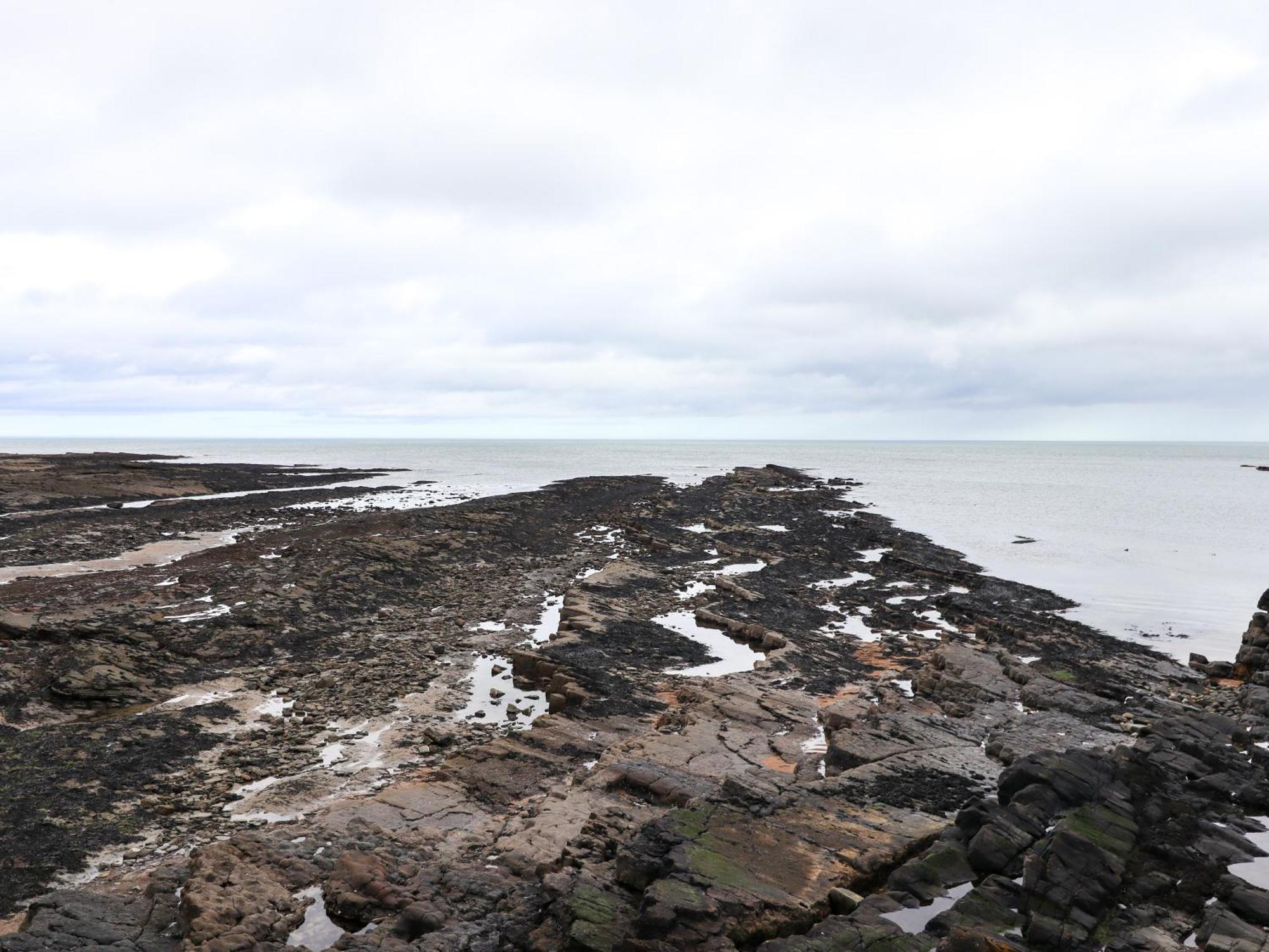 Barnacle Cove Villa Beadnell Kültér fotó